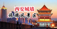 老司机一级黄色网站中国陕西-西安城墙旅游风景区